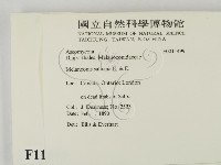 登錄號:F0011499藏品圖，第2張