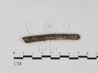登錄號:F0011499藏品圖，第3張
