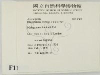 登錄號:F0011500藏品圖，第2張