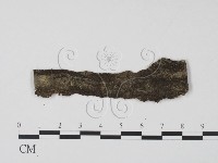 登錄號:F0011500藏品圖，第1張