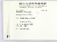 登錄號:F0011501藏品圖，第2張