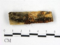 登錄號:F0011501藏品圖，第1張