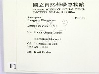 登錄號:F0011504藏品圖，第2張