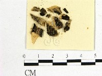 登錄號:F0011504藏品圖，第1張