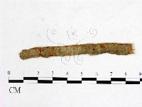 登錄號:F0011508藏品圖，第1張