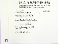 登錄號:F0011509藏品圖，第2張