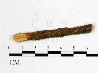 登錄號:F0011510藏品圖，第1張