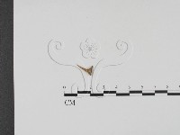 登錄號:F0011511藏品圖，第1張