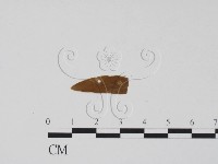 登錄號:F0011513藏品圖，第1張
