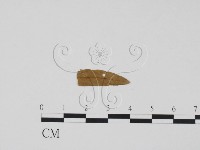登錄號:F0011513藏品圖，第3張