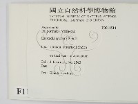 登錄號:F0011514藏品圖，第2張