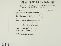 登錄號:F0011516藏品圖，第2張