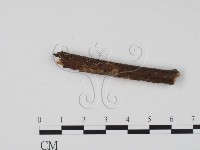 登錄號:F0011516藏品圖，第3張