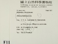 登錄號:F0011517藏品圖，第2張
