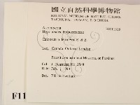 登錄號:F0011518藏品圖，第2張