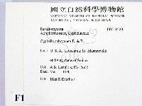 登錄號:F0011520藏品圖，第2張