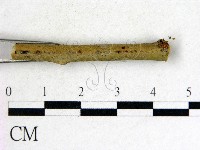 登錄號:F0011520藏品圖，第3張