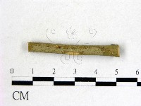 登錄號:F0011520藏品圖，第4張