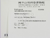 登錄號:F0011521藏品圖，第2張