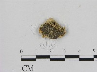 登錄號:F0011521藏品圖，第3張