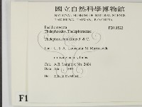 登錄號:F0011522藏品圖，第2張