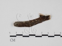 登錄號:F0011522藏品圖，第1張