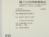 登錄號:F0011523藏品圖，第2張