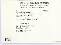 登錄號:F0011524藏品圖，第2張