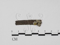 登錄號:F0011525藏品圖，第1張