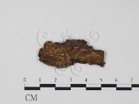 登錄號:F0011526藏品圖，第3張