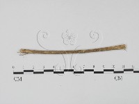 登錄號:F0011528藏品圖，第3張