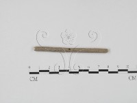 登錄號:F0011529藏品圖，第1張