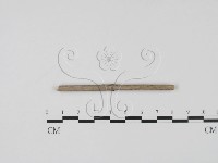 登錄號:F0011529藏品圖，第3張