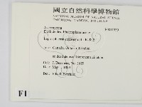 登錄號:F0011530藏品圖，第2張