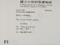 登錄號:F0011532藏品圖，第2張