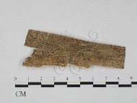 登錄號:F0011532藏品圖，第3張