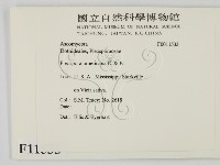 登錄號:F0011533藏品圖，第2張