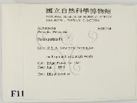 登錄號:F0011534藏品圖，第2張