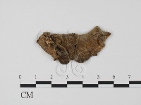 登錄號:F0011534藏品圖，第1張