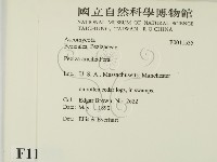 登錄號:F0011535藏品圖，第2張