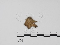 登錄號:F0011535藏品圖，第3張