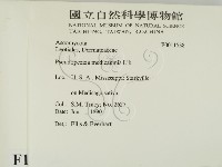 登錄號:F0011538藏品圖，第2張