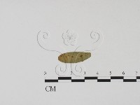 登錄號:F0011538藏品圖，第3張