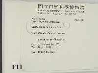 登錄號:F0011540藏品圖，第2張