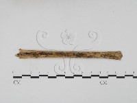 登錄號:F0011540藏品圖，第1張