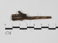 登錄號:F0011541藏品圖，第1張