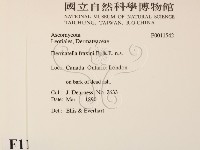 登錄號:F0011542藏品圖，第2張