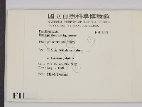 登錄號:F0011545藏品圖，第2張