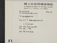 登錄號:F0011546藏品圖，第2張