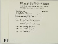 登錄號:F0011547藏品圖，第2張